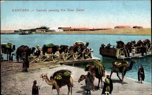 Ak El Kantara El Qantara Ägypten, Camels passing the Suez Canal