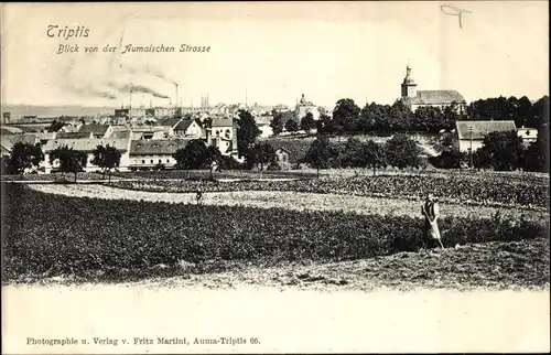Ak Triptis in Thüringen, Blick von der Aumaischen Straße