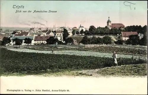 Ak Triptis in Thüringen, Blick von der Aumaischen Straße