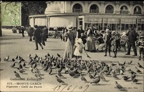 Ak Monte Carlo Monaco, Café de Paris, Pigeons