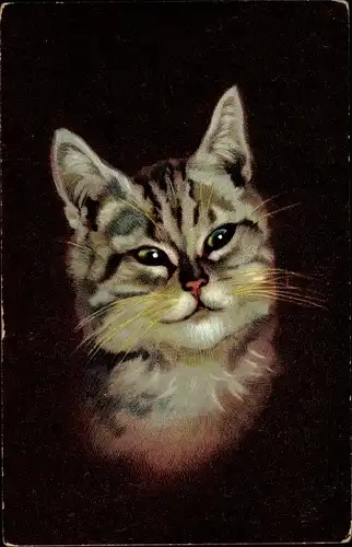 Ak Getigerte Katze, Tierportrait, Hoffmann's Stärkefabriken