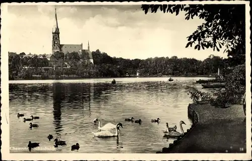Ak Chemnitz in Sachsen, Schlossteich, Schwäne, Kirche