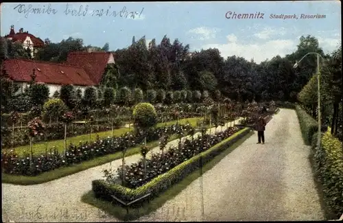 Ak Chemnitz in Sachsen, Stadtpark, Rosarium