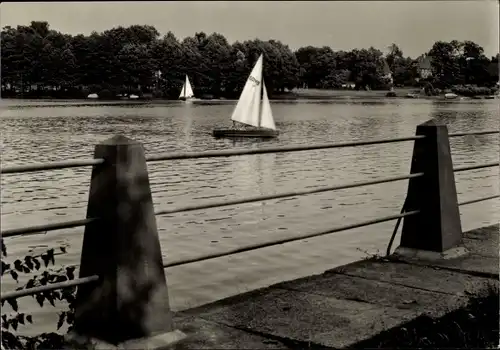 Ak Goyatz Schwielochsee in der Niederlausitz, Seepanorama, Segelboot
