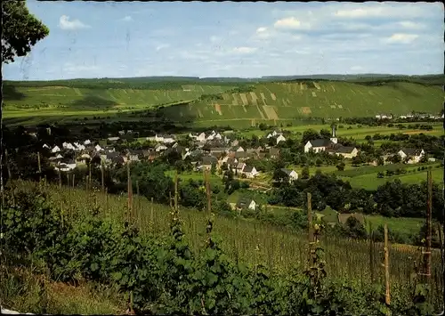 Ak Noviand an der Mosel, Panorama, Weinberge