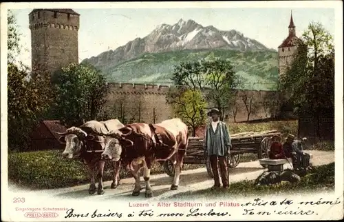 Ak Luzern Stadt Schweiz, alter Stadtturm und Pilatus, Bauer, Rinder mit Fuhrwerk