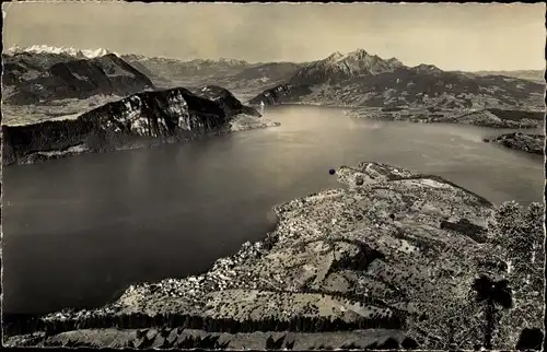 Ak Weggis Kanton Luzern, Vierwaldstättersee, Pilatus, Berner Alpen