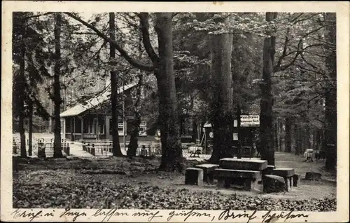 Ak Wehlen an der Elbe Sächsische Schweiz, Steinerner Tisch