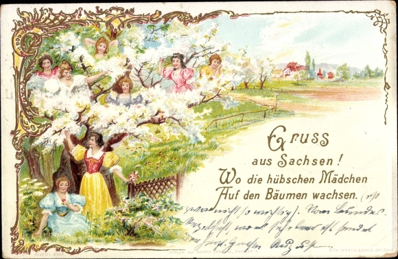 In Sachsen Wo Die Schönen Frauen Auf Den Bäumen Wachsen oldthing.de