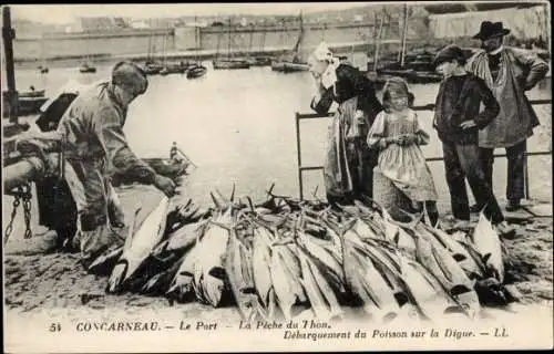 Ak Concarneau Finistère, Le Port, la peche du Thon, debarquement du poisson sur la digue