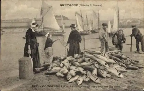 Ak Concarneau Finistère, Arrivage de debarquement du thon