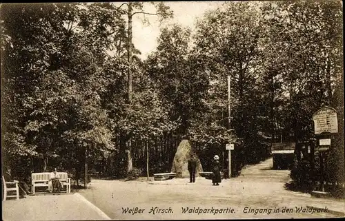 Ak Dresden Weißer Hirsch, Waldparkpartie, Eingang in den Waldpark