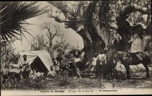Ak Senegal, Un campement, Eingeborene, Zeltlager, Pferd, Mission du Senegal