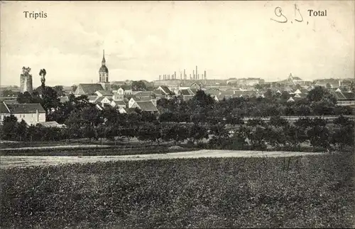 Ak Triptis in Thüringen, Gesamtansicht, Felder