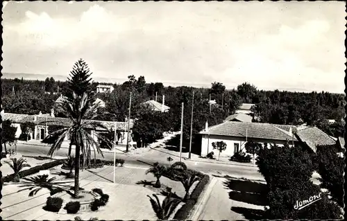 Ak Gorges de la Chiffa Algerien, Vue générale