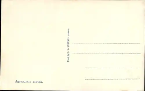 Ak Morges Kanton Waadt, L'Arsenal