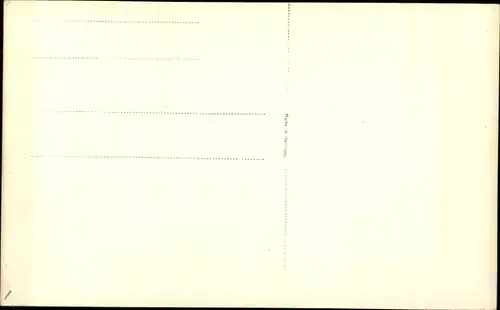 Ak Weiße Katze, Tierportrait