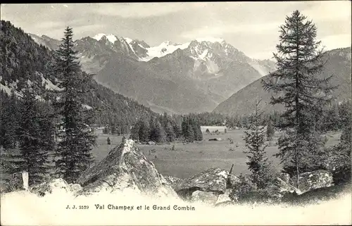 Ak Champex Kanton Wallis Schweiz, Landschaftsblick, le Grand Combin