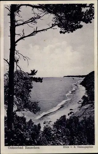 Foto Ak Otradnoje Georgenswalde Rauschen Swetlogorsk Ostpreußen, Blick von der Gausupspitze