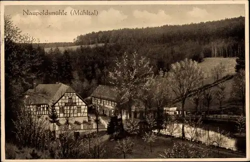 Ak Eisenberg in Thüringen, Naupoldsmühle im Mühltal