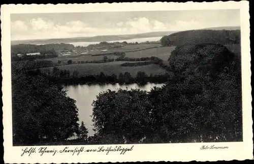 Ak Bruhnskoppel Malente in Ostholstein, Holsteinische Schweiz, Fernblick