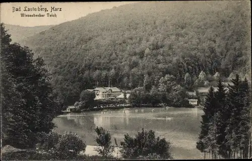 Ak Wiesenbek Bad Lauterberg im Harz, Wiesenbeker Teich