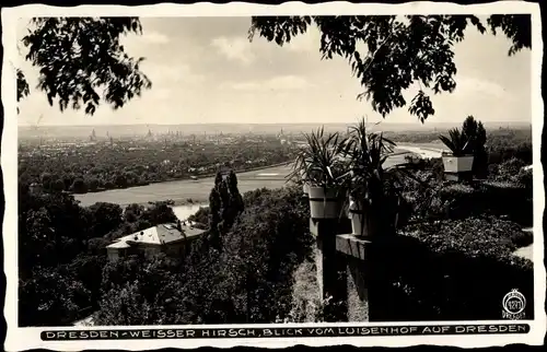 Ak Dresden Weißer Hirsch, Blick vom Luisenhof auf die Stadt