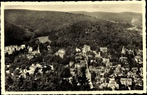 Ak Bad Harzburg am Harz, Villenviertel, Panorama