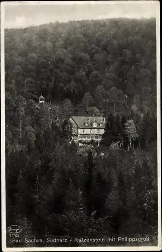 Ak Bad Sachsa in Niedersachsen, Katzenstein mit Philippsgruß, Wald