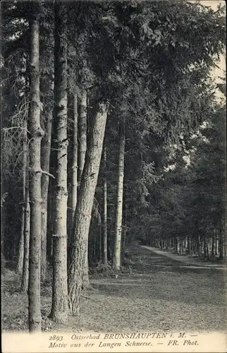 Ak Ostseebad Brunshaupten Kühlungsborn, Motiv aus der Langen Schneese