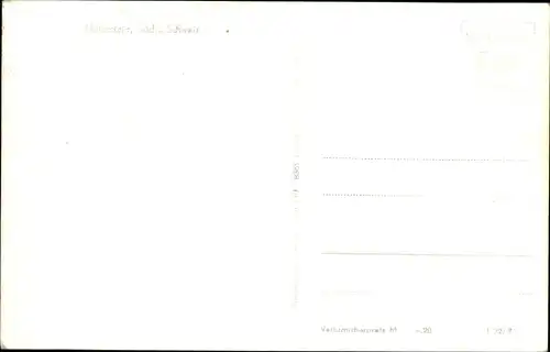 Ak Hohnstein Sächsische Schweiz, Panorama, Schloss