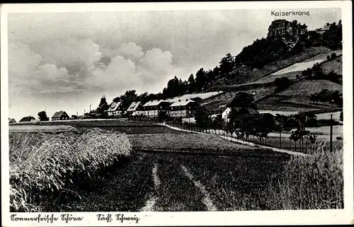 Ak Schöna Sächsische Schweiz, Kaiserkrone, Panorama vom Ort