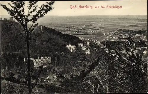 Ak Bad Harzburg am Harz, Blick von den Ettersklippen, Panorama