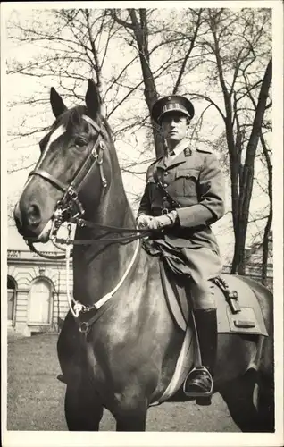 Ak König Leopold III. von Belgien, Pferd