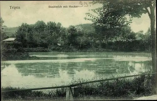 Ak Triptis in Thüringen, Stadtteich mit Hocker