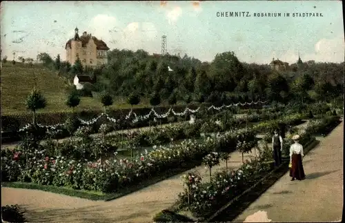 Ak Chemnitz in Sachsen, Rosarium im Stadtpark