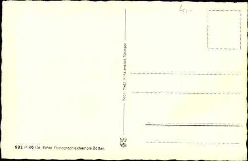 Ak Rathen an der Elbe Sächsische Schweiz, Panorama