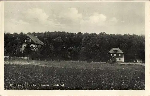 Ak Gohrisch Sächsische Schweiz, Erholungsheim Haidehof