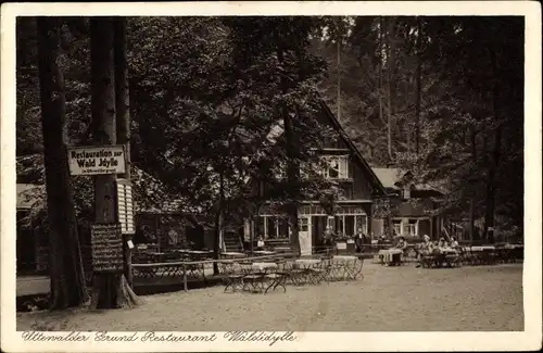Ak Wehlen, Restaurant Waldidylle, Uttenwalder Grund, Bes. W. Ehrke