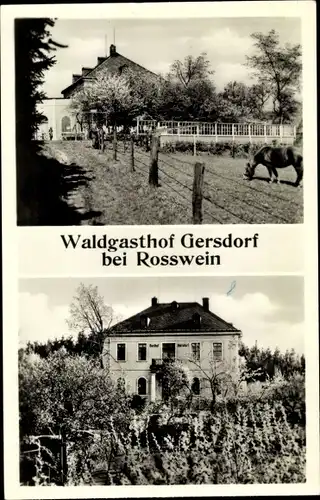 Ak Gersdorf Striegistal in Mittelsachsen, Waldgasthof, Koppel