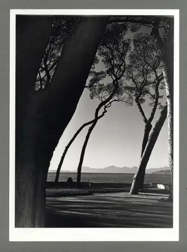 Maurice Tabard. Original, 1970er Jahre, o. T. (Seepromenade mit Bäumen und Bergpanorama)