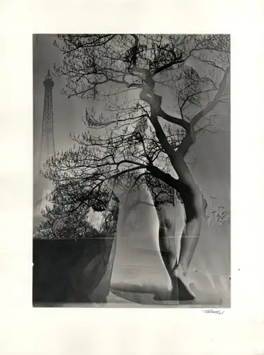 Maurice Tabard. Original-Photographie. 1970er Jahre. o. T. (Eiffelturm und Baum. Fotomontage)