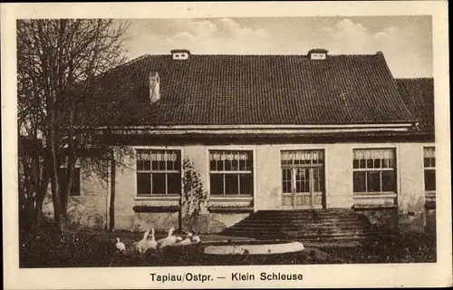 Ak Gwardeisk Tapiau Ostpreußen, Klein Schleuse, Haus, Enten