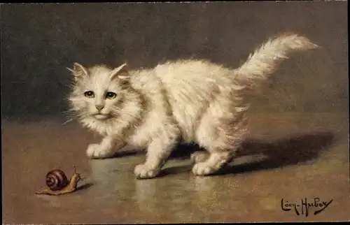 Künstler Ak Huber, Leon, Langhaarige weiße Katze und Schnecke