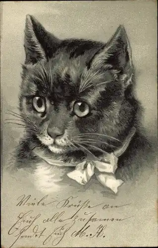 Litho Katze mit Halsschleife