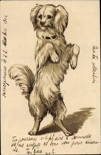 Präge Litho Hund macht Männchen