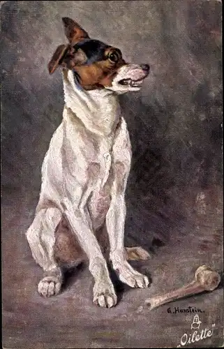 Künstler Ak Hanstein, Hund mit Knochen, Fox Terrier