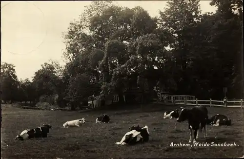 Ak Arnhem Gelderland Niederlande, Weide Sonsbeek