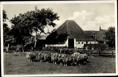 Ak Texel Nordholland Niederlande, bij de boerderij der familie Keesom