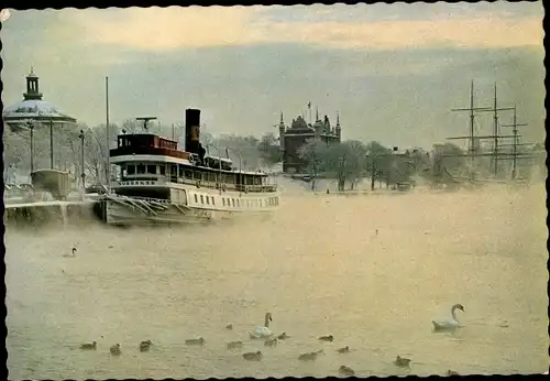 Ak Stockholm Schweden, Strömmen, Dampfer, Schwäne